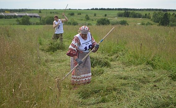 Турнир косарей в Коми – один из самых ярких аграрных праздников макушки лета