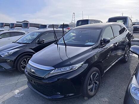 Россиянам рассказали, почему не стоит покупать автомобили за рубежом