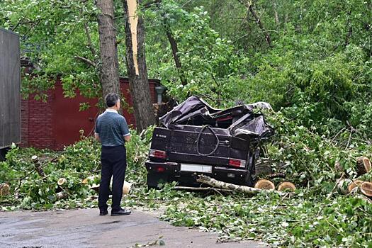 Количество жертв урагана в Московском регионе увеличилось до 17