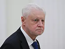 Миронов попросил Совбез России изучить вопрос замедления Telegram