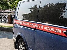 Кассирша из Ачинска, похитившая у «Альфа-банка» 23 млн, вышла на свободу досрочно