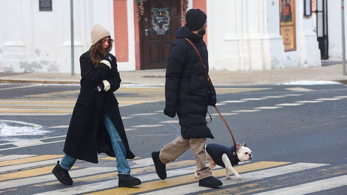 Decembrska zmrzal prizadela moskovsko regijo