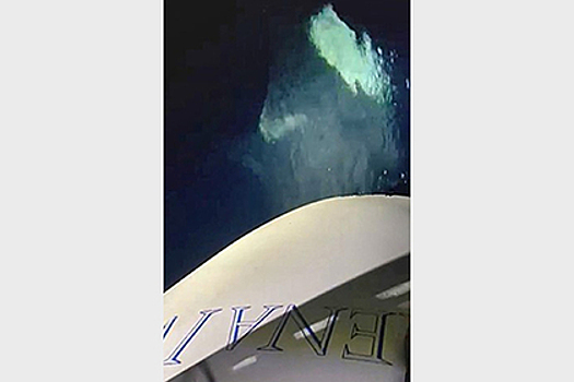 Четыре кита-убийцы напали на яхту и сломали ее руль