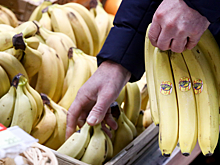 Подсчитана стоимость продуктовой «корзины счастья» в России