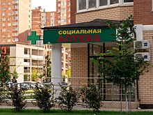 Настойки пиона, валерианы и пустырника могут стать дефицитом в аптеках Кубани