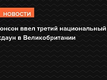 Джонсон отменил визит в Индию