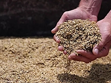 Минсельхоз заявил о достаточном запасе зерна