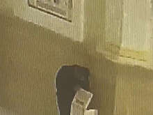 В Пензенской области мужчина украл деньги из церкви и потратил их на стрижку