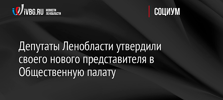 Депутаты Ленобласти утвердили своего нового представителя в Общественную палату