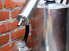 Сын подозреваемой по делу об отравлении суррогатом в Ленобласти заявил, что ее подставили