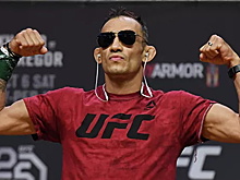 Фергюсон пошутил на тему тирамису и Хабиба