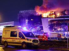 Причастен ли ИГИЛ* к теракту в «Крокус Сити Холле»