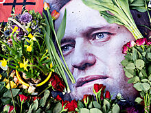 В Кремле не стали давать оценки политической фигуре Навального*