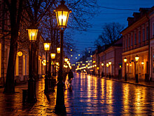 В Луганске по обращениям граждан было удалено 1035 аварийных деревьев