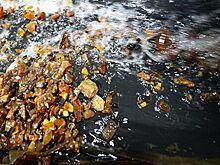 На Урале пресекли незаконный вывоз 19 килограммов янтаря в Китай