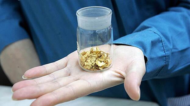 В этом году в Хабаровском крае планируют добыть 23,5 тонн золота
