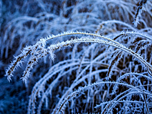 Новосибирские метеорологи напомнили о ноябрьской погодной аномалии с экстремальным морозом
