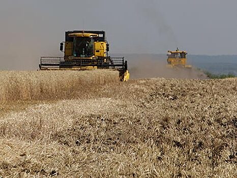 Россия переживает сельскохозяйственный бум – Financial Times