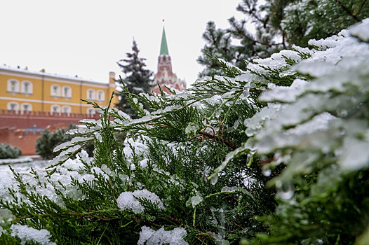 Будет морозно и ветрено. Подробный прогноз погоды на неделю