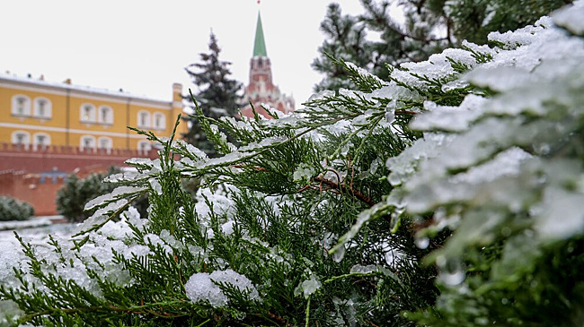 Будет морозно и ветрено. Подробный прогноз погоды на неделю