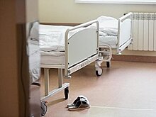 В российском регионе выявили новые случаи тропической лихорадки