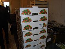 В Кирове раздавили полтонны санкционных яблок и более 100 кг салата