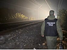 В Башкортостане мужчина погиб под колесами поезда — машинист не успел затормозить