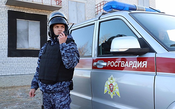 Росгвардия задержала в Рязанской области пьяного водителя Lada Priora без прав