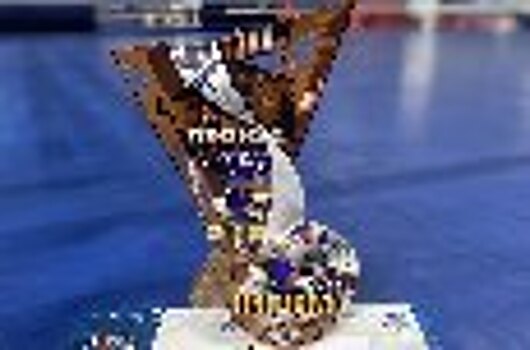 Сотрудница Томского ИПКР ФСИН России приняла участие в Чемпионате мира по универсальному бою
