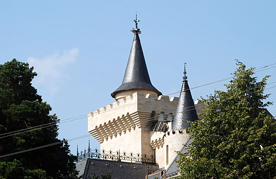 В Госдуме предложили переселить беженцев из Донбасса в замок Галкина