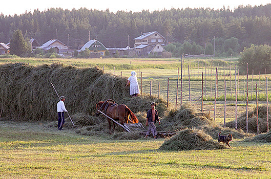 В России могут упростить процедуру созыва общих собраний в сельхозкооперациях