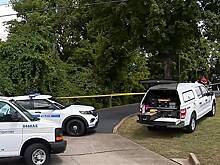 В лесу нашли загадочный скелет без головы