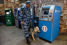 Взломщики банкоматов запустили курсы для начинающих