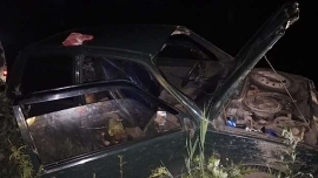 В Рыбинске «Ока» насмерть сбила лося