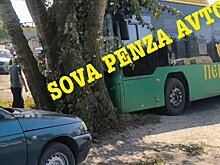 Автобус врезался в дерево: в Пензе ищут очевидцев ДТП на Шуисте