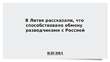 В Литве рассказали, что способствовало обмену разведчиками с Россией