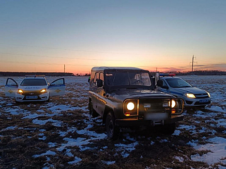 В Екатеринославке пьяного водителя удалось остановить только стрельбой по колёсам