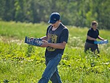 Успехи Польши были бы невозможны без украинских мигрантов – «Новости N»