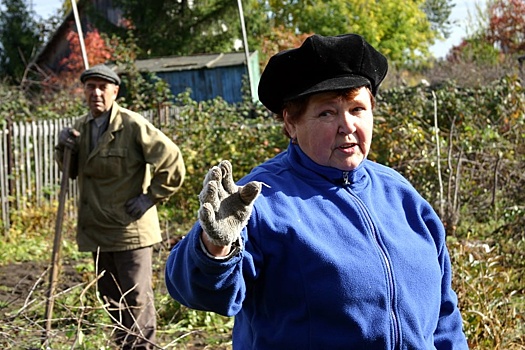 В Омской области пытаются навести порядок с бесхозной дачной землей