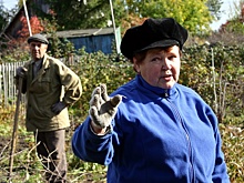 В Омской области пытаются навести порядок с бесхозной дачной землей