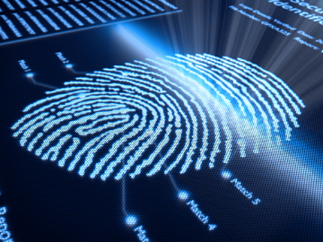 Россия включена в систему международного биометрического реестра данных