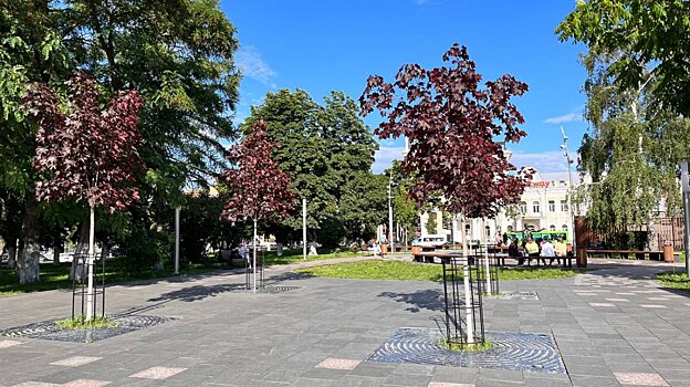 Пенза вошла в топ-10 самых озелененных городов России