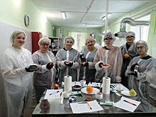 Томское школьники знакомятся с сельскохозяйственными профессиями