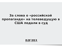 В США СМИ, названное "российской пропагандой", хочет отсудить $10 млн