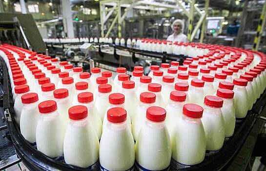 Вице-премьер обещал Путину изменить качество молока