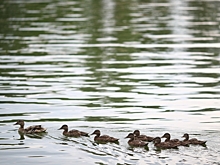 В Суровикино Волгоградской области модернизировали систему водоснабжения