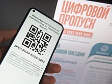 Пропускной режим в Москве и области признали фейком