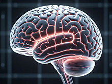 Ученые создадут цифрового двойника мозга для нейрохирургии