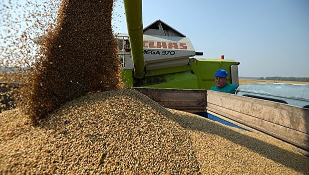 Россия может перенаправить поставку зерна из Турции новым контрагентам