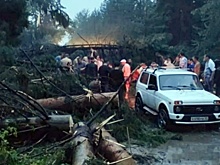 МЧС: Десять человек погибли и еще около 70 пострадали во время урагана в Приволжском федеральном округе